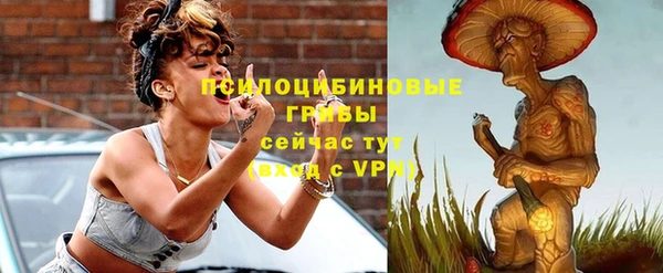 spice Алексеевка