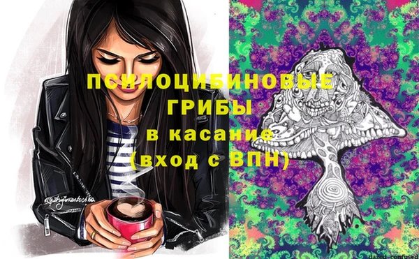 spice Алексеевка