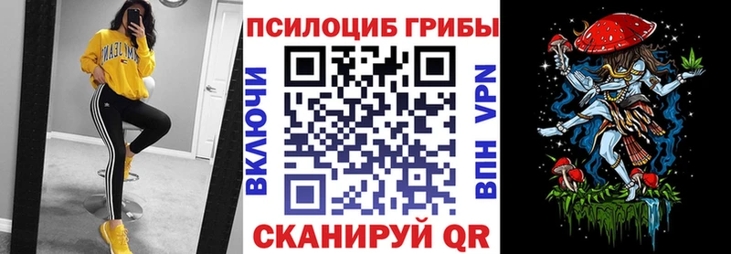 KRAKEN сайт  Томск  Галлюциногенные грибы Psilocybe  магазин продажи наркотиков 