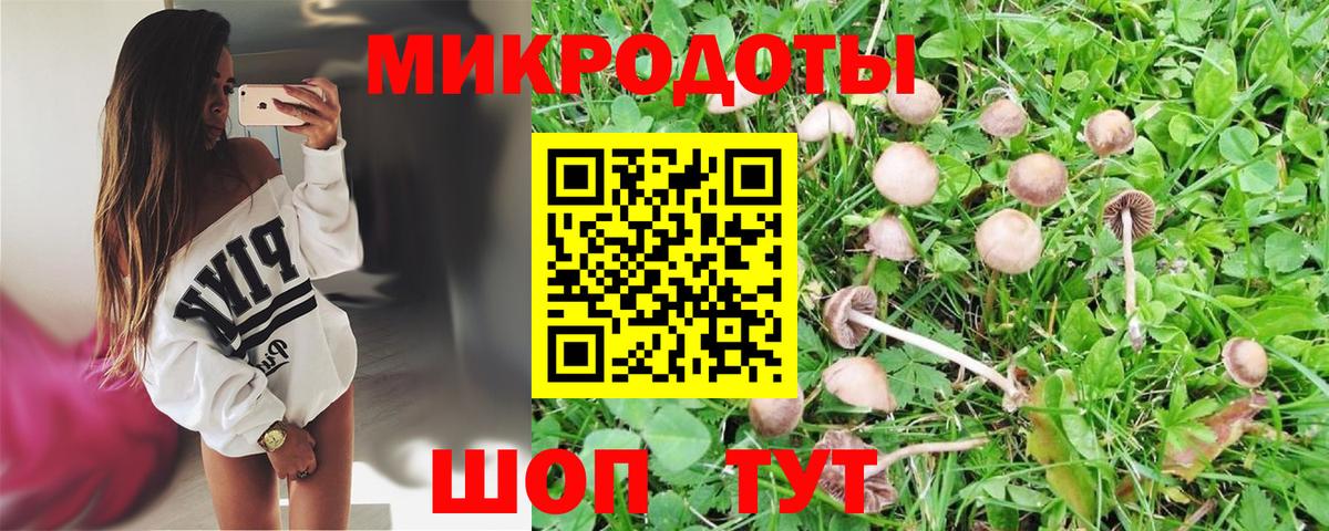 Галлюциногенные грибы ЛСД  Вход с VPN  Псилоцибиновые грибы мухоморы  Томск 